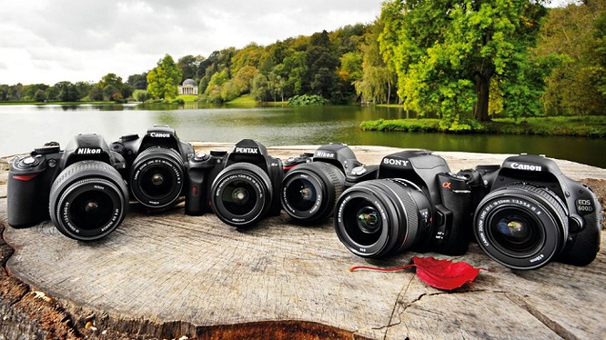 Tips Membeli Kamera DSLR Bagi Fotografer Pemula
